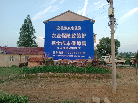 广汉墙体广告的优劣势你知道吗？